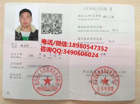 最新焊工证图片及其解读