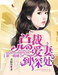 最新总裁小说完结版，一口气畅读到底！