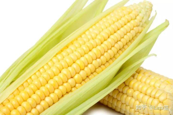 玉米最新动态，美味与健康的新篇章