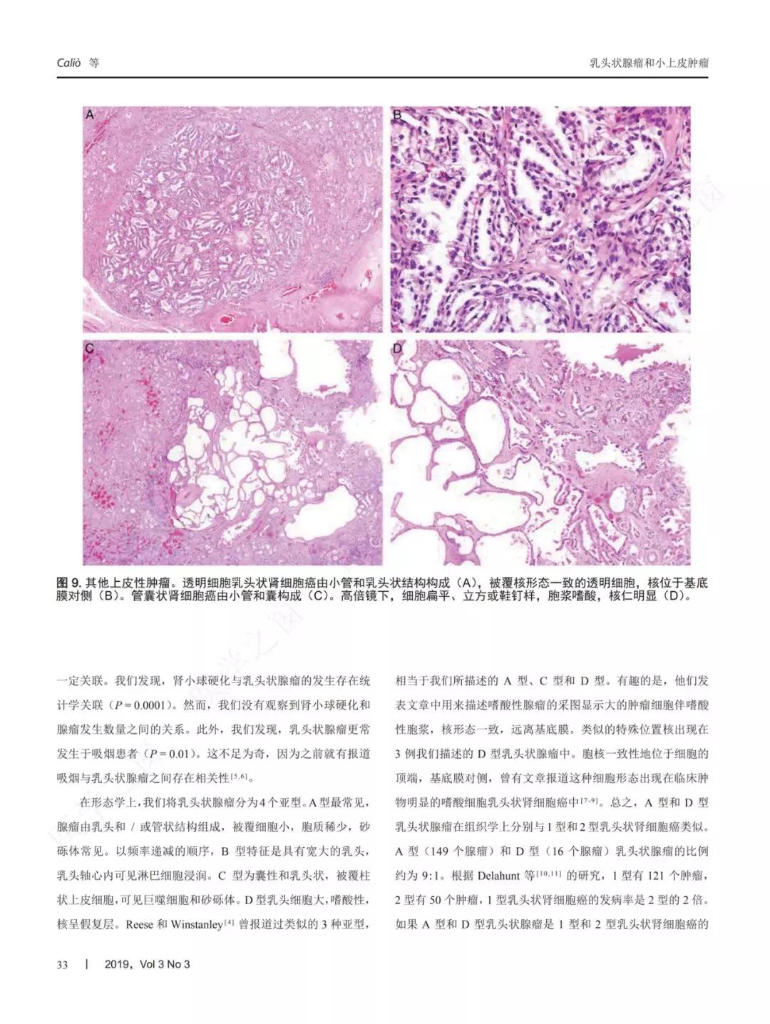 最新美国病理，友情与陪伴的温馨日常故事