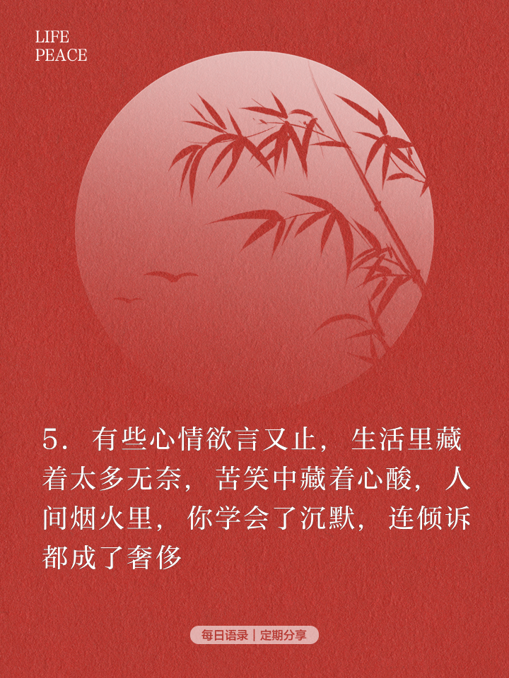 最新表达，日常故事中的欢笑与温情