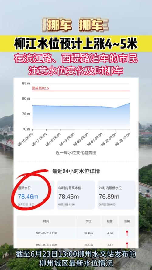 最新水位情况，一场温馨的水畔奇遇之旅