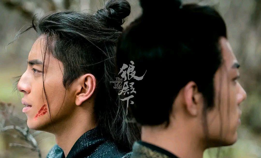 最新电视剧狼深度解析与探讨,剧情、角色与主题探讨