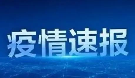 广东疫情最新动态,小杨与他的朋友们在这个特殊时期的温馨日常故事