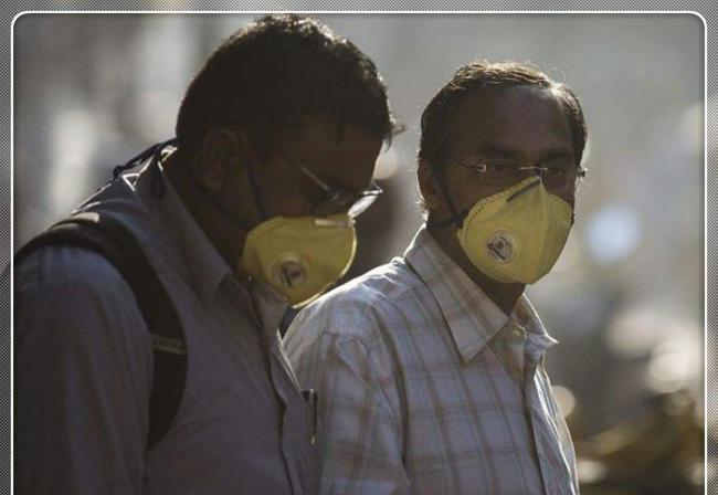 天新冠疫情最新动态,自然之旅中寻找内心宁静与力量