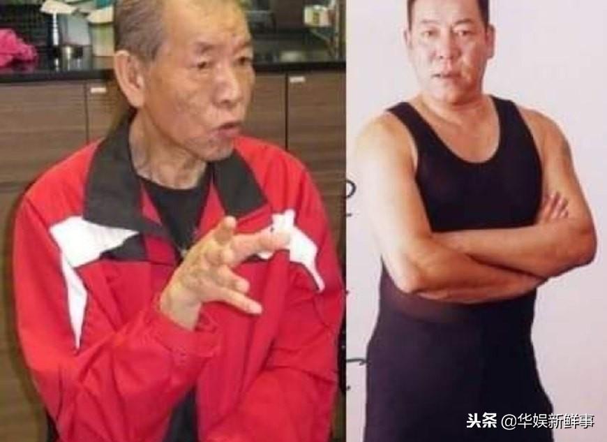 最新古惑仔,热血江湖新篇章开启