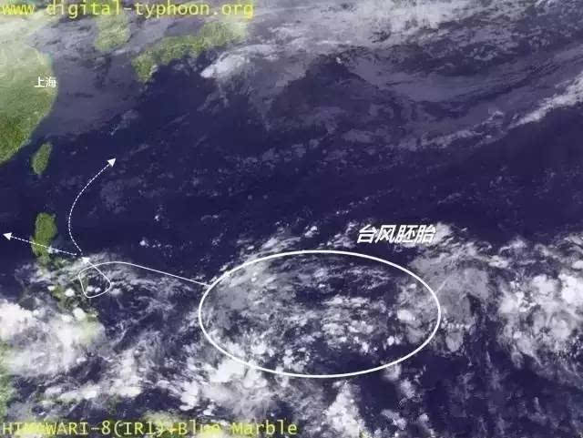 最新台风新胚胎11,多方观点探讨与解析