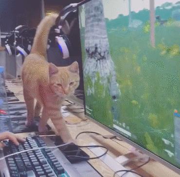 光遇最新蹲人,温馨相遇的日常体验分享