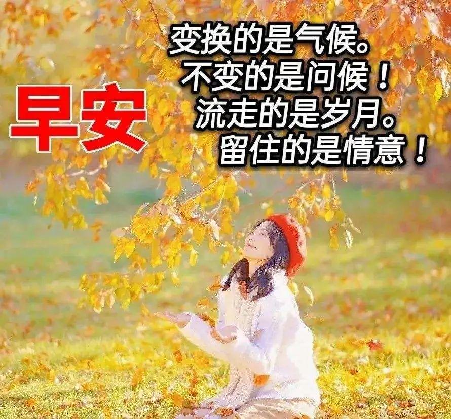 今日早安图片更新,变化中的学习之旅,自信与成就感的启程