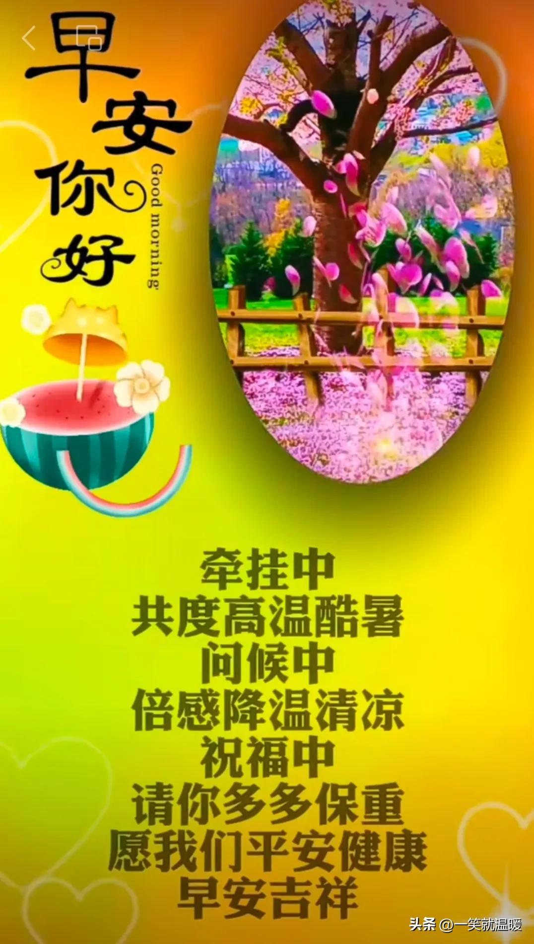 今日早安图片更新,变化中的学习之旅,自信与成就感的启程