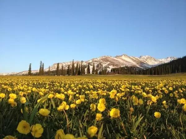 科技领跑边疆,新疆疫情最新消息与守护健康之路