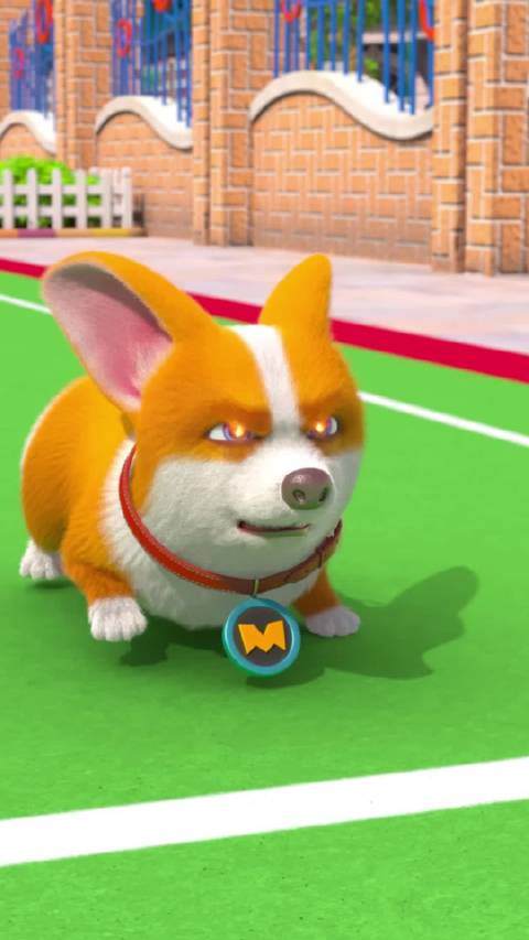 飞狗最新版的神奇飞翔,学习变化如何激发自信与成就感之旅