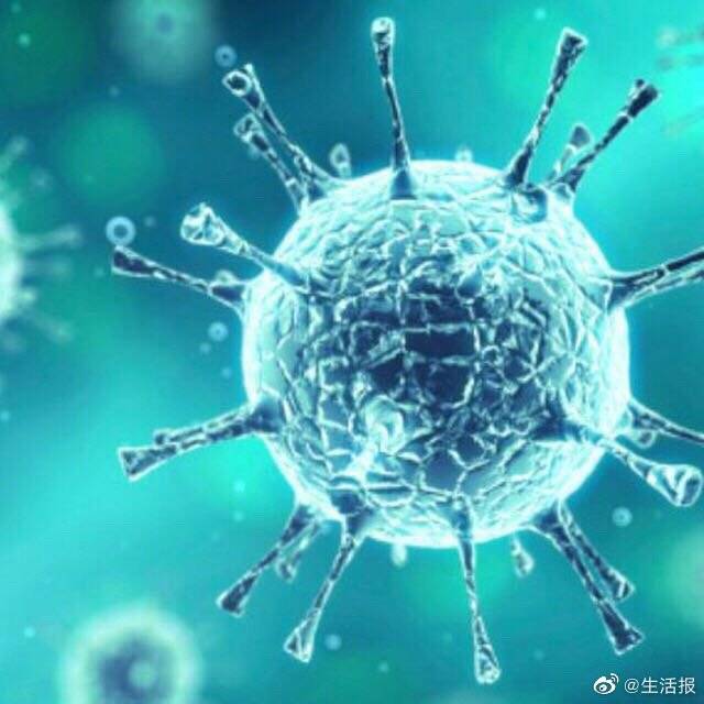 巴西新冠肺炎最新动态更新