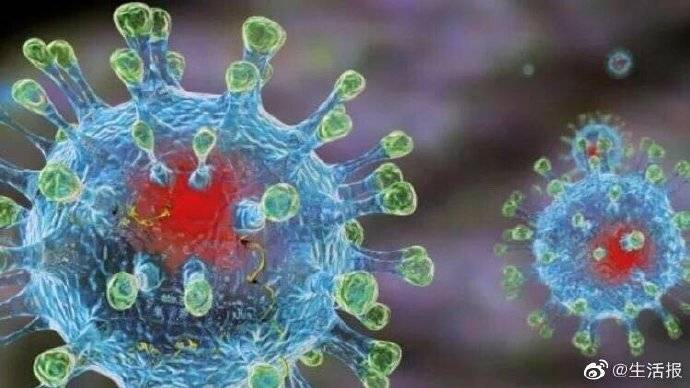 巴西新冠肺炎最新动态更新