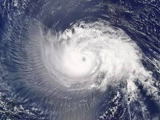 一月最新台风,风暴之舞与时代的印记