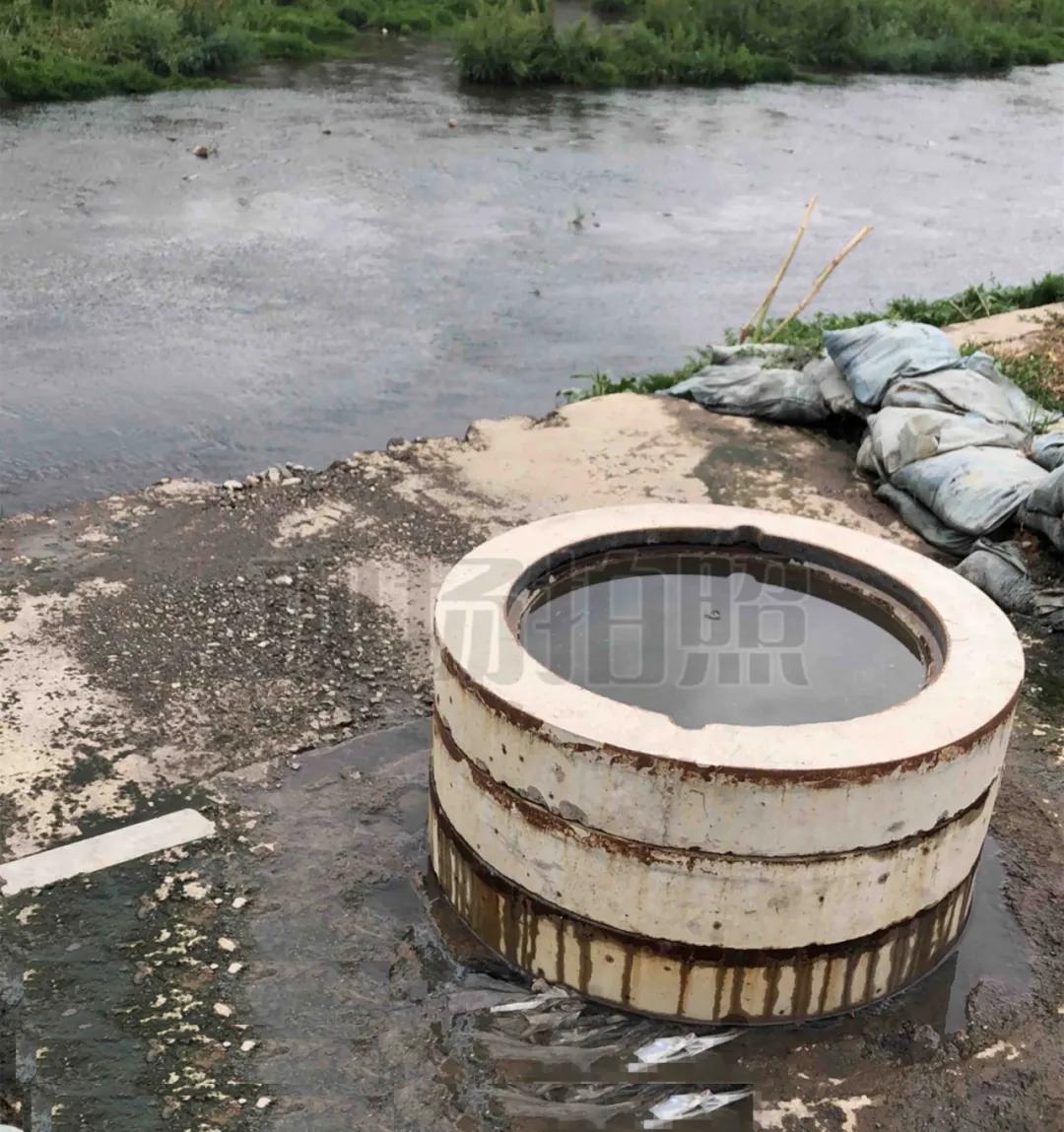 大连积水路段实时更新,逆风破浪,展现坚韧之光