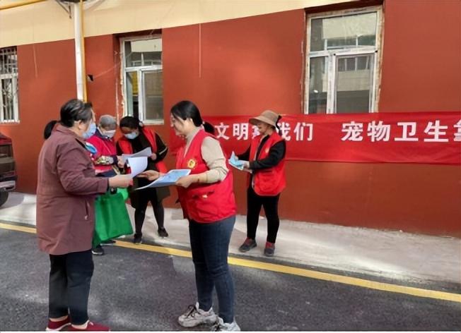 文明养犬新动态,励志之旅中的自信与成就感提升之路