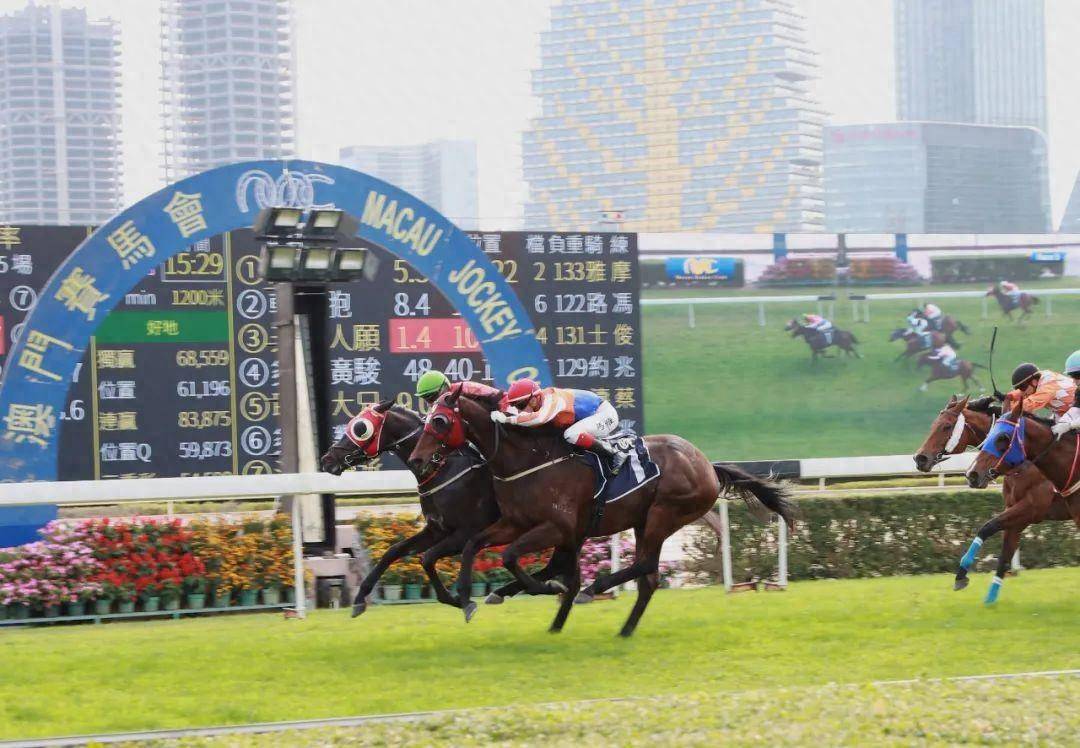 2020年今晚澳门特马号,高效运行支持_QFD99.167游戏版