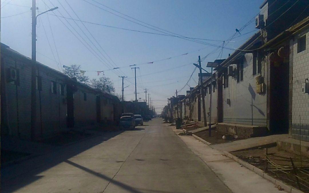 藁城白菜最新价格,时代印记与市场的脉动