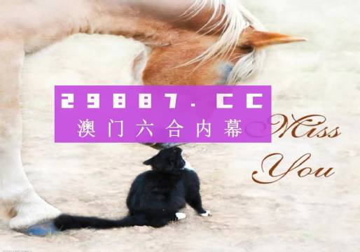 4949澳门精准免费大全正版,解答配置方案_TXD93.354安全版