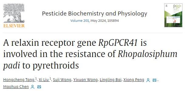2024年正版资料大全,深度研究解析_LHL23.212抓拍版