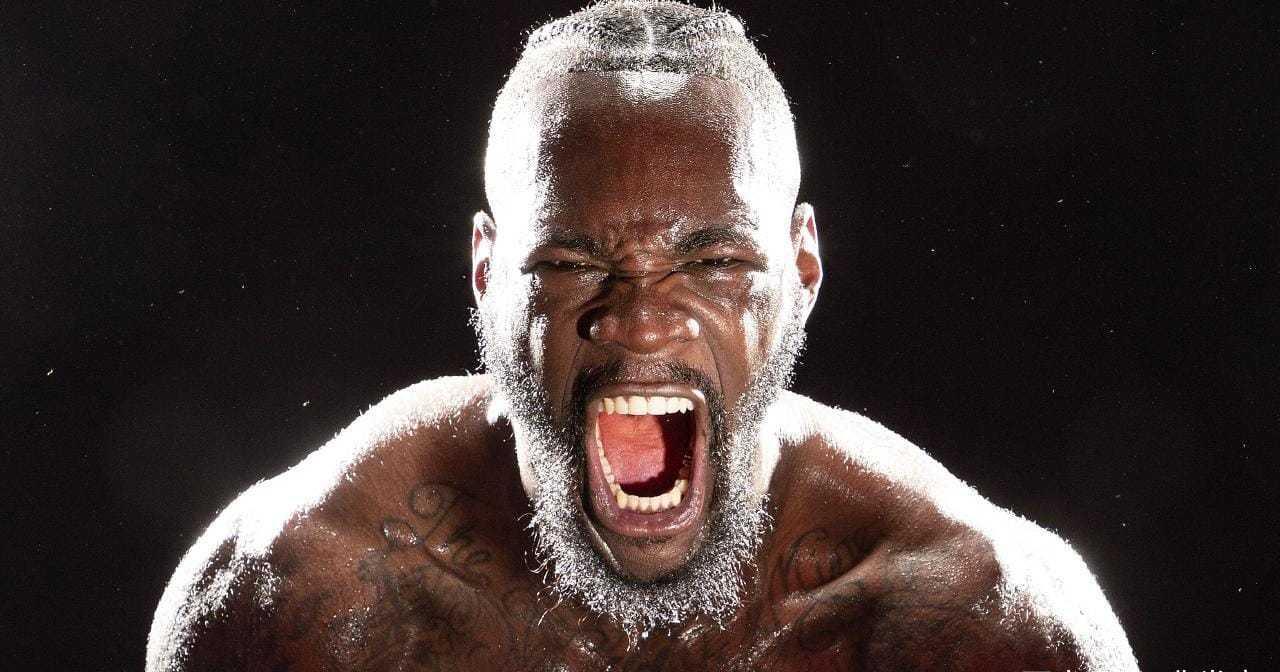 维尔德最新动态及深度分析与观点阐述