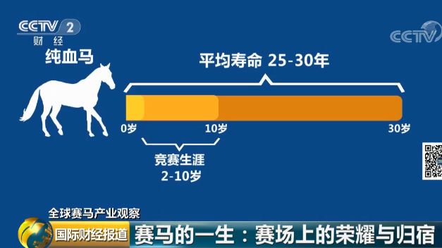 澳门特马今晚开什么码,科技成果解析_CVE97.190套件版