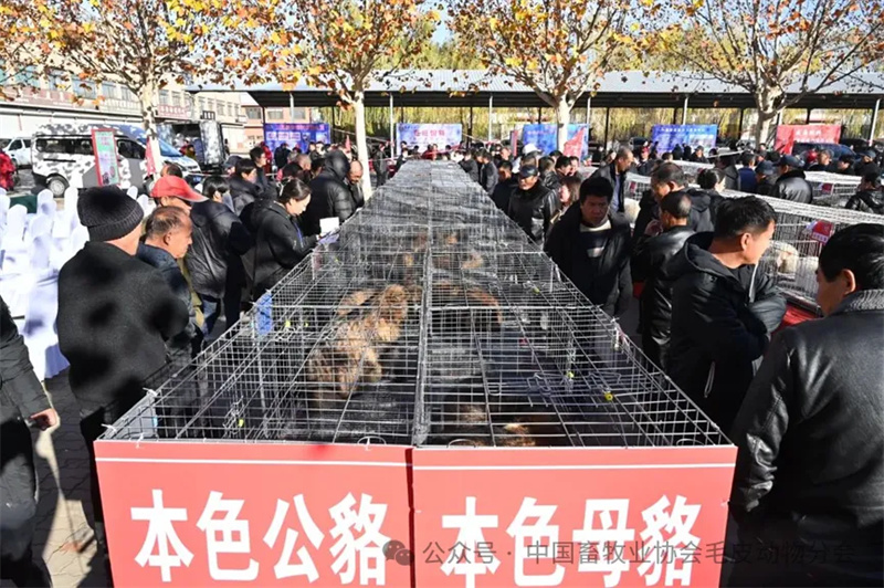 洗车服务 第408页