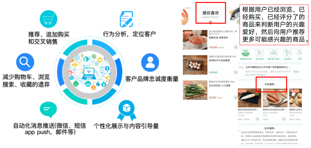 澳门精准三肖三期内必开出,数据评估设计_LLD9.526全景版