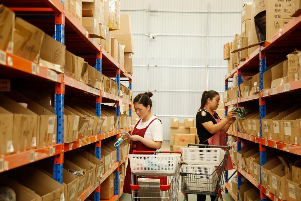 南和最新招聘信息,家的温馨故事与求职者的交汇点