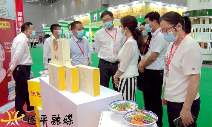 遂平城区最新规划揭秘,巷弄深处的惊喜探索