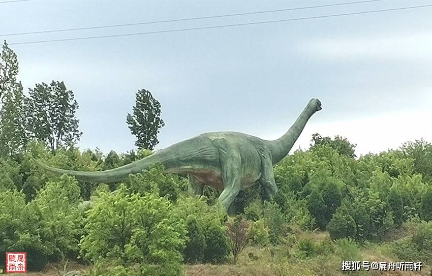 汝阳神州恐龙最新资讯,探寻恐龙世界的奥秘揭秘