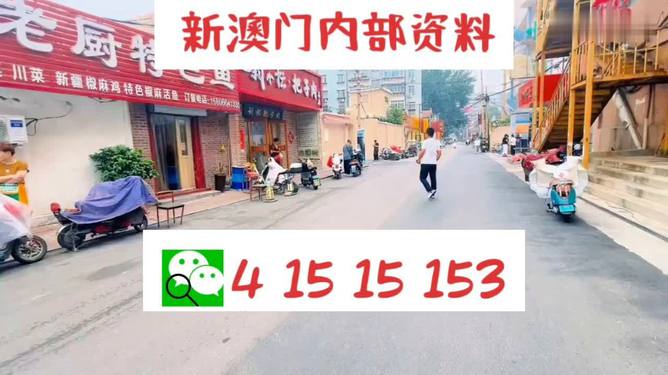2024澳门天天开好彩大全第65期,科学解释分析_TJJ9.674零障碍版