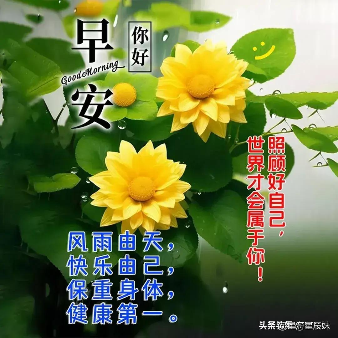 2024天天彩资料,持续改进策略_定制版81.988