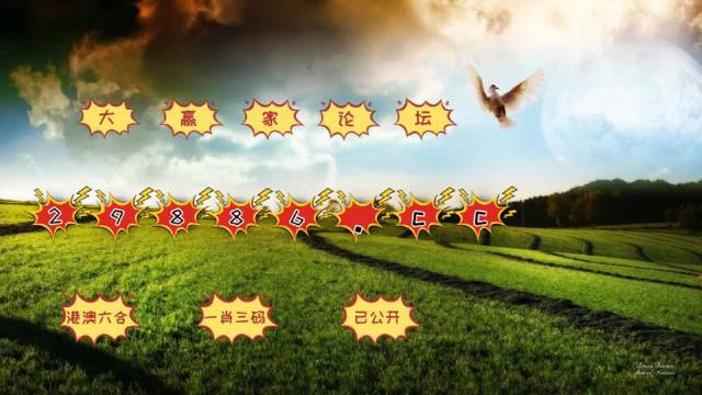 新澳门开奖结果+开奖记录,快速解答方案实践_跨界版44.198