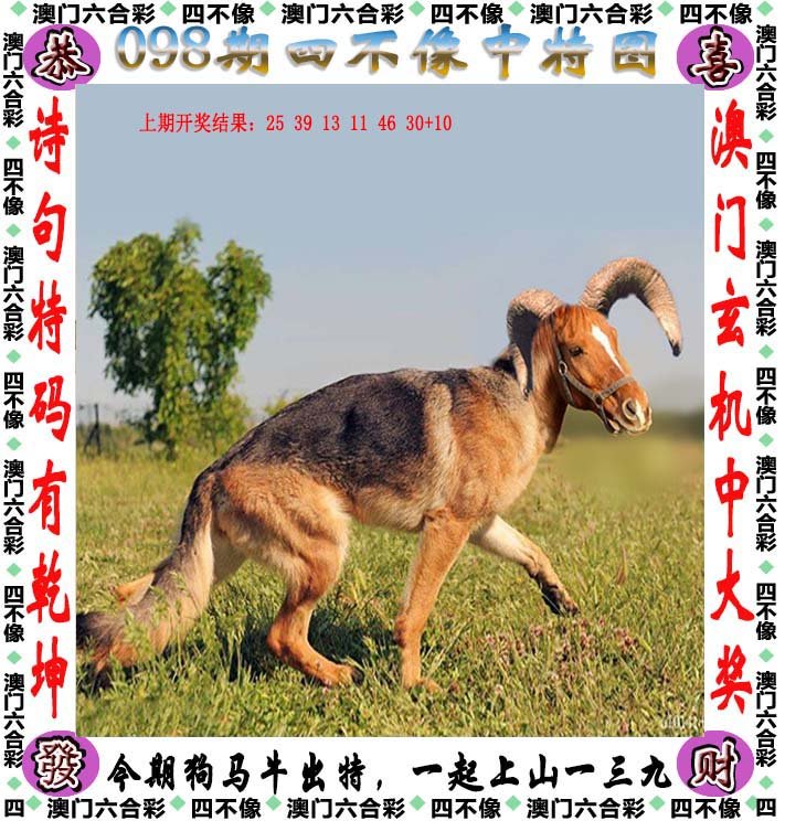 汽车饰品的销售 第353页