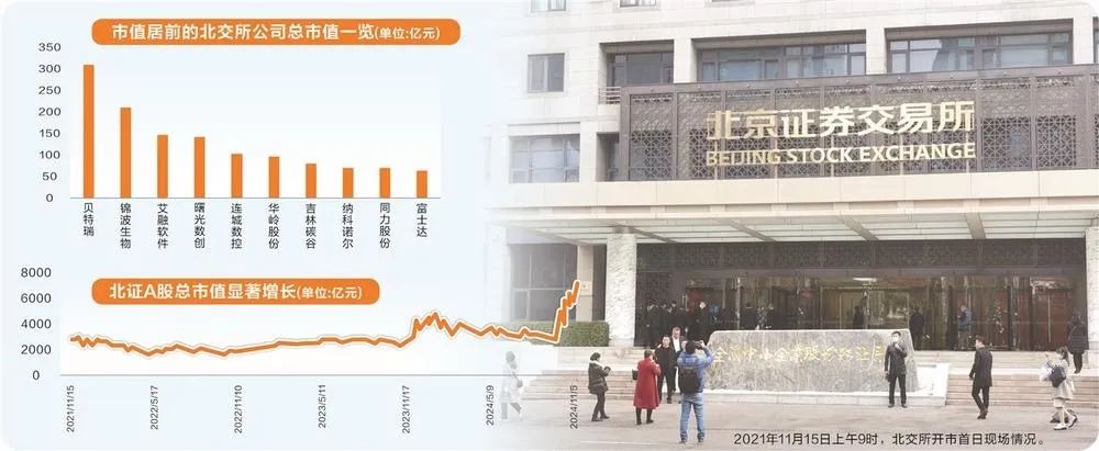 北交所福丽特最新情况分析,深度解读与探讨