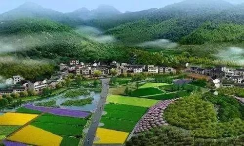 阳邑三农小镇最新动态更新,最新消息汇总