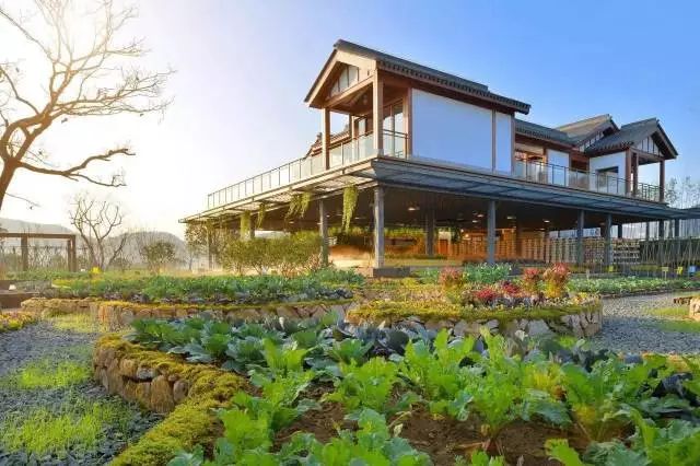 阳邑三农小镇最新动态更新,最新消息汇总