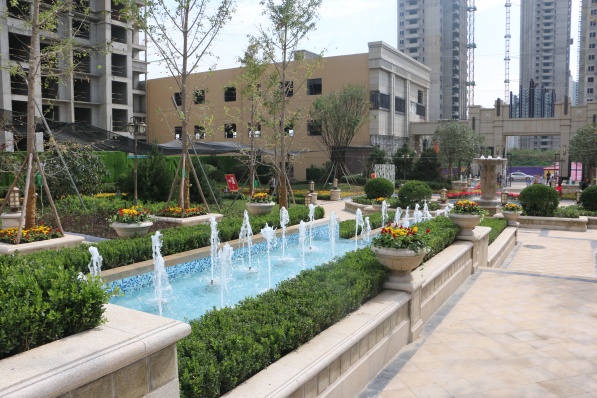 龙腾万都汇最新动态及指南,初学者与进阶用户的必备参考