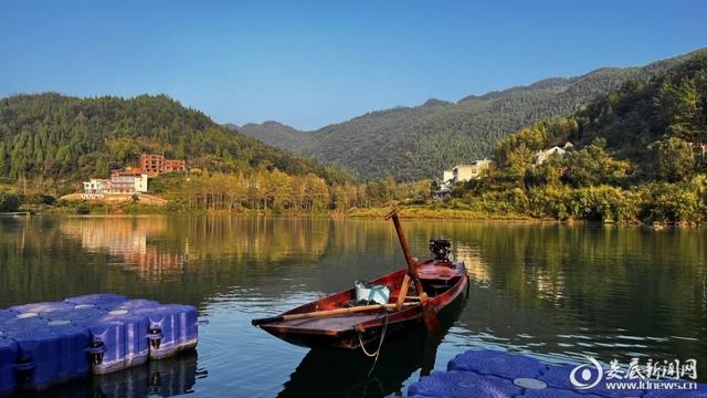 新化县白溪镇最新红网探析,观点阐述与深度探究