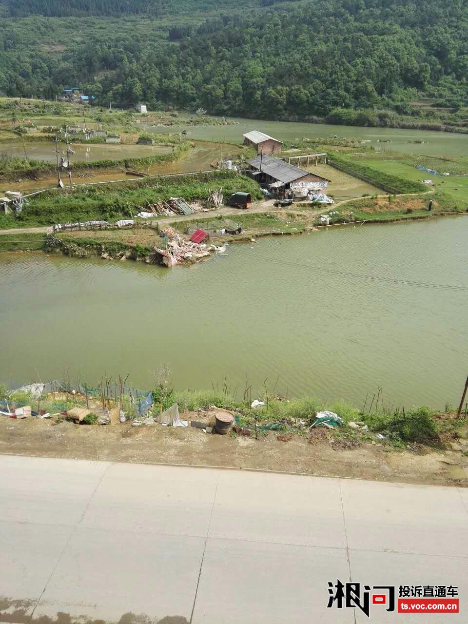 新化县白溪镇最新红网探析,观点阐述与深度探究