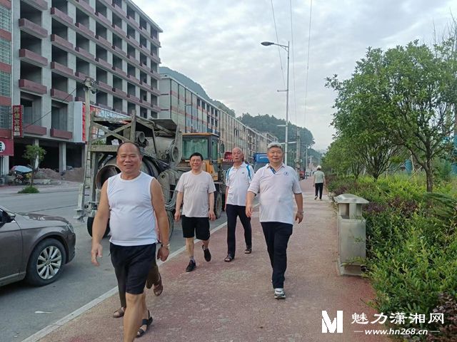 新化县白溪镇最新红网探析,观点阐述与深度探究