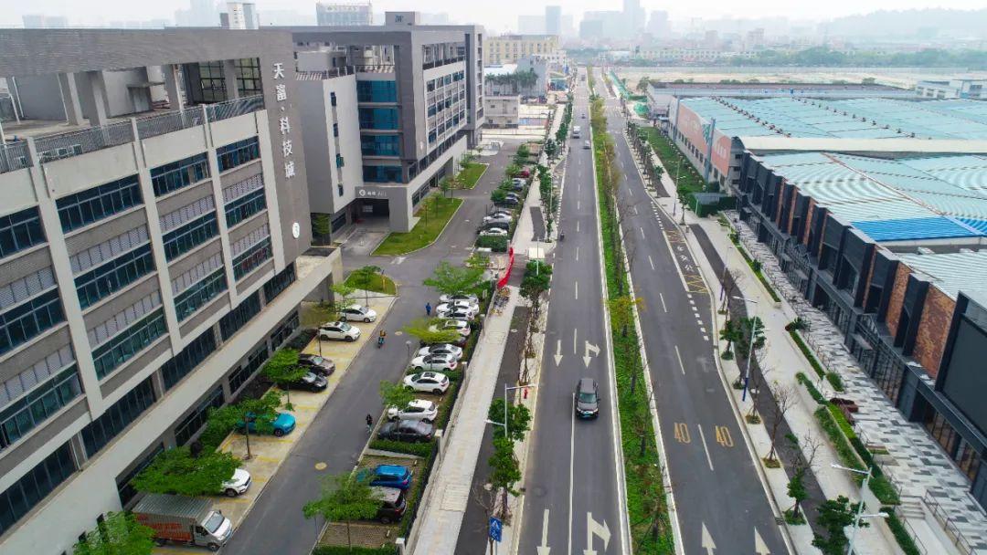 桂城公寓楼盘最新动态，市场走势、观点与个人立场全解析