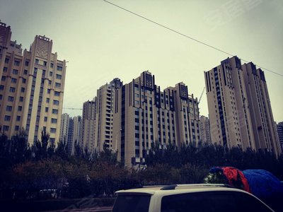 桐楠格领誉最新动态,时代浪潮中的瞩目焦点