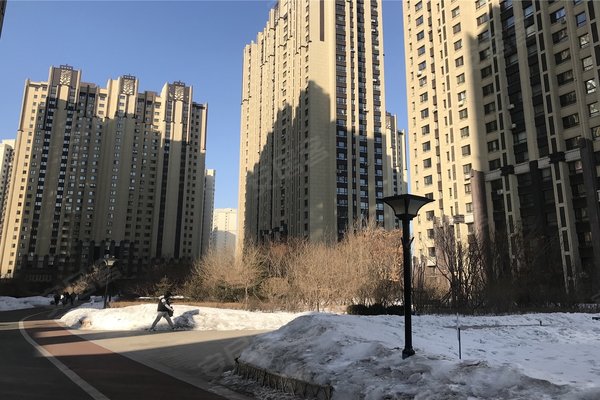 桐楠格领誉最新动态,时代浪潮中的瞩目焦点