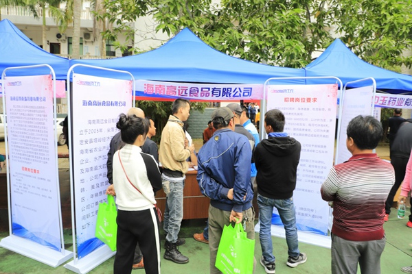 海南省定安县最新招聘及求职步骤指南