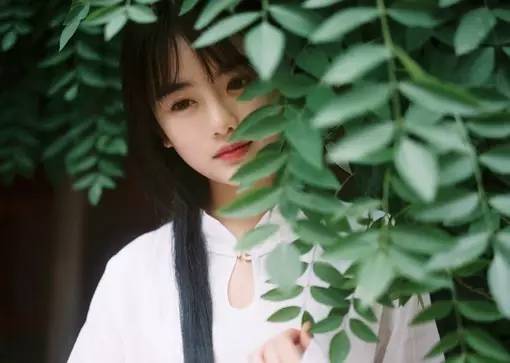 科技新品惊艳登场，木清竹阮瀚宇最新章节——体验未来生活之美