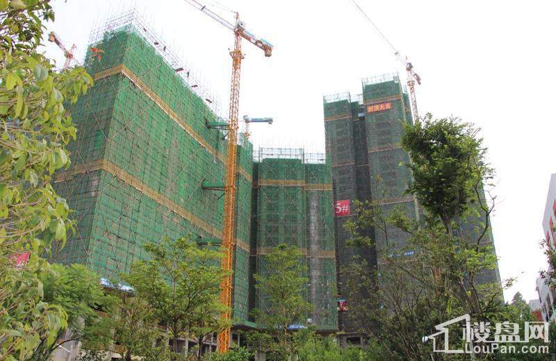 龙基传媒星城最新动态,时代脉搏与行业标杆同步前行