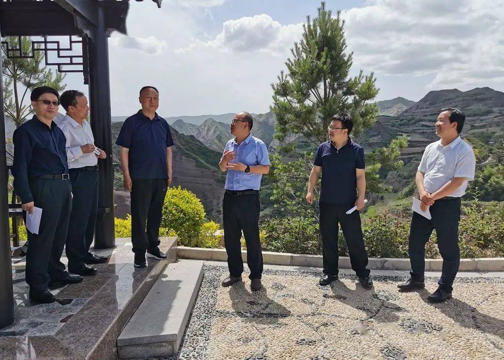 灵宝矿难最新进展调查,深度观点阐述与综合分析